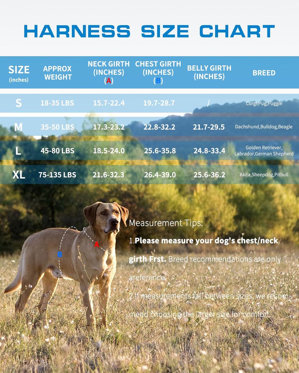 Anneaux frontaux pour entrainement sans tiraillement avec RunFido