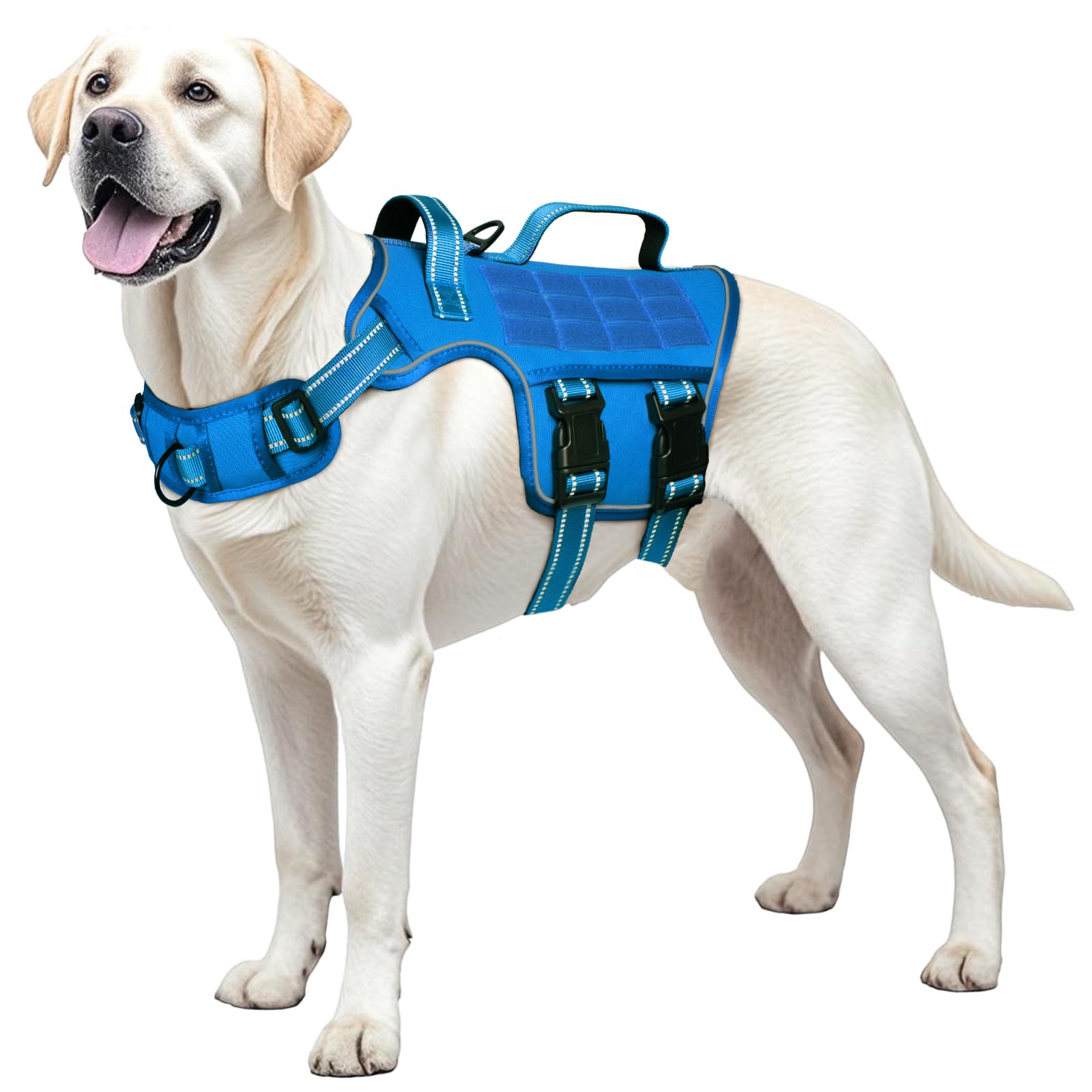 Guide des tailles RunFido pour un ajustement parfait