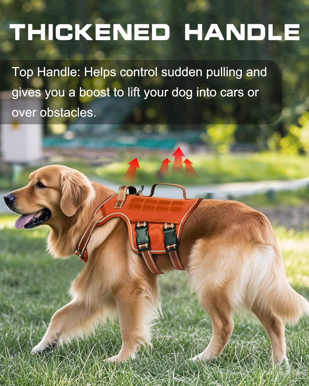 RunFido harnais chien attache-devant pour contrôle anti traction