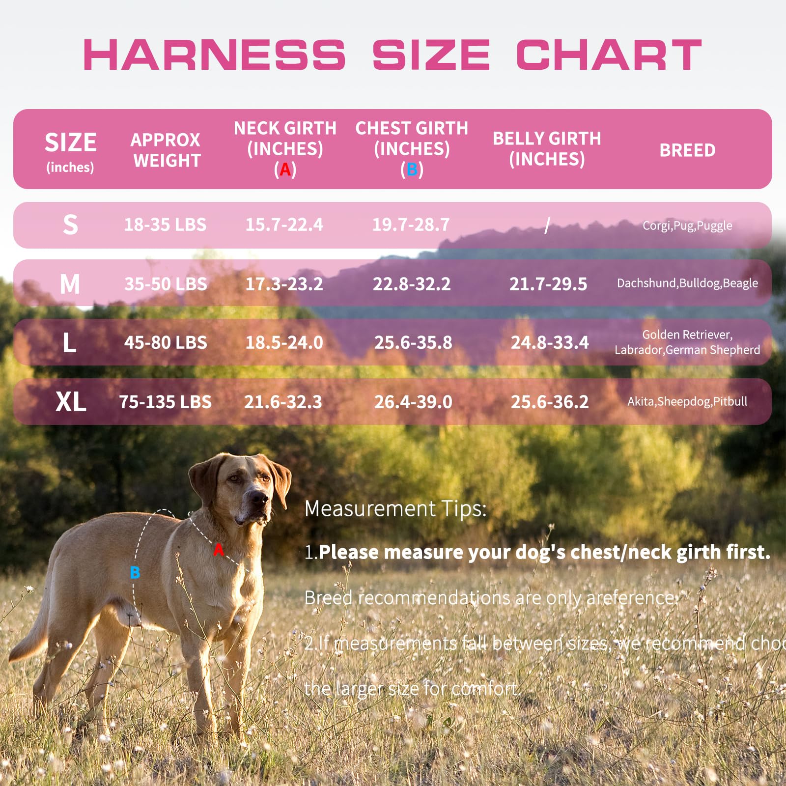 RunFido harnais chien attache-frontale : entraînement facilité avec l’attache avant.