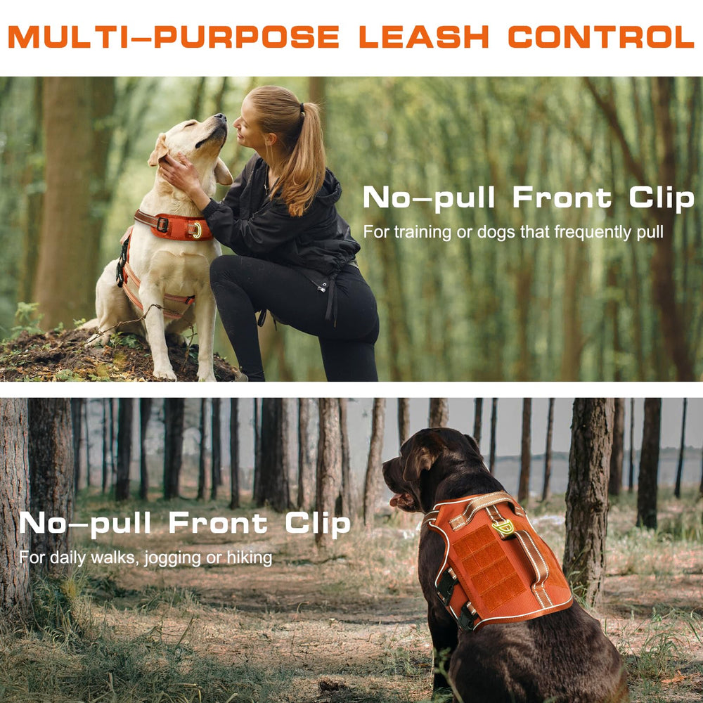 RunFido harnais avec bandes réfléchissantes pour visibilité nocturne lors des sorties