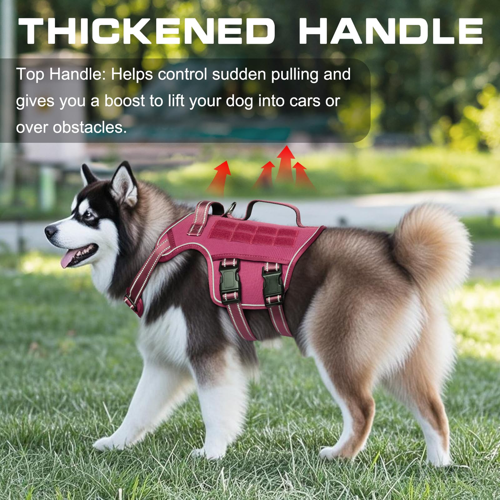 RunFido harnais à fermeture rapide — mise en place facile et rapide