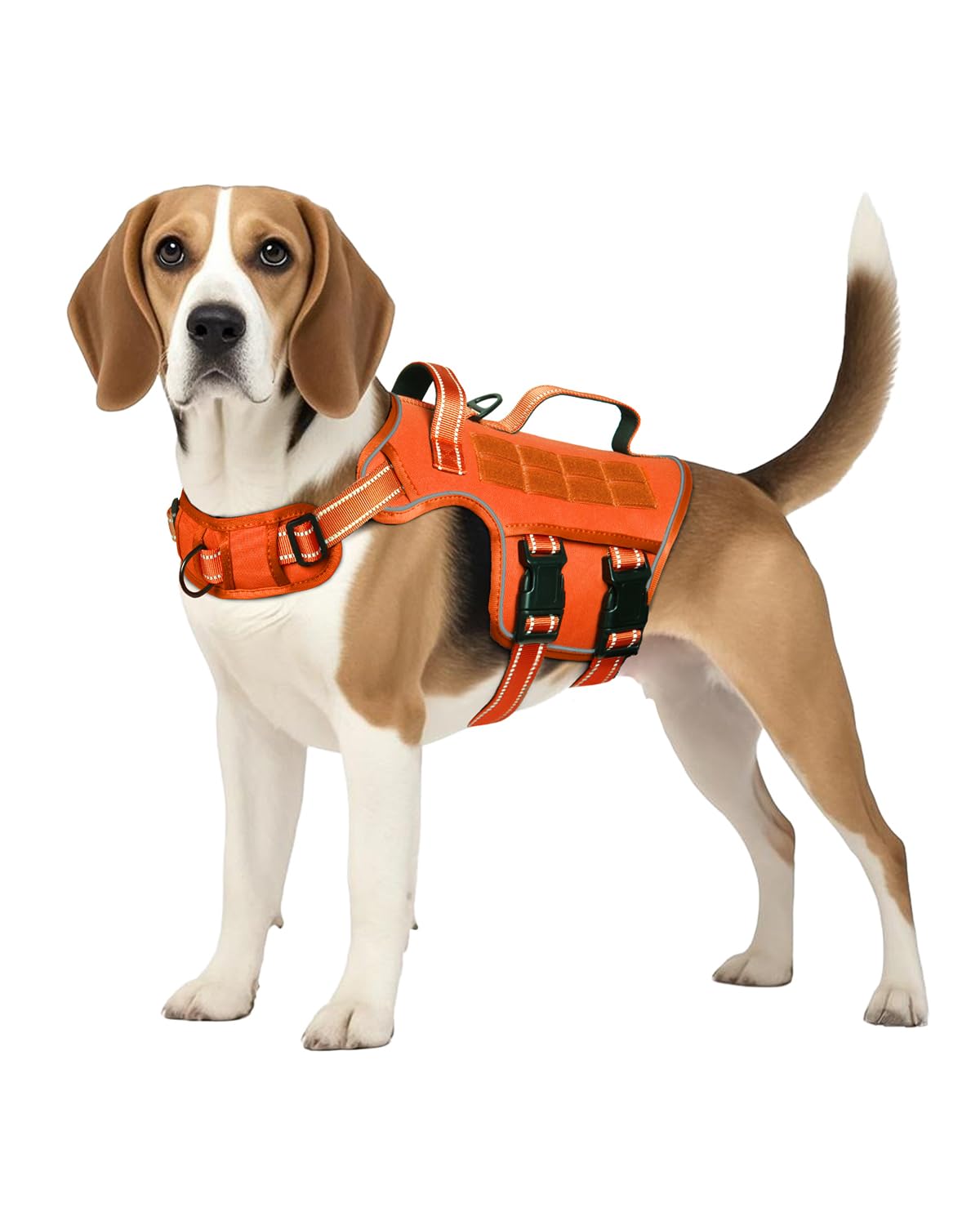 RunFido harnais chien fermeture rapide pour mise en place rapide