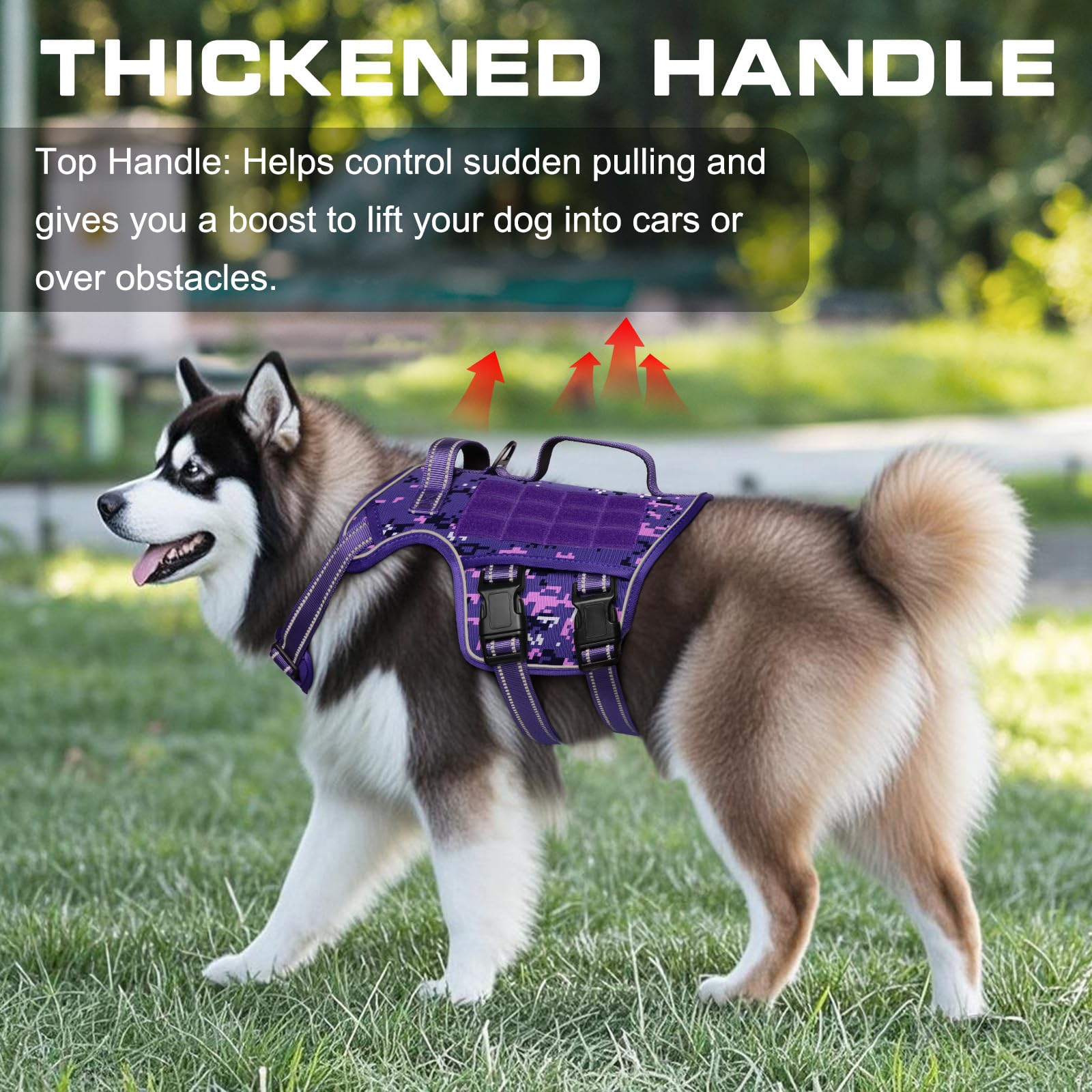Attache-poignée-devant sur le harnais RunFido pour contrôle sans tirage pendant l'entraînement.