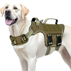 RunFido harnais chien grand taille, vue avant, enfilage rapide pour gain de temps.