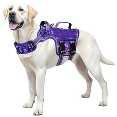 Harnais RunFido pour chien grand avec boucle rapide, facile à mettre et retirer.