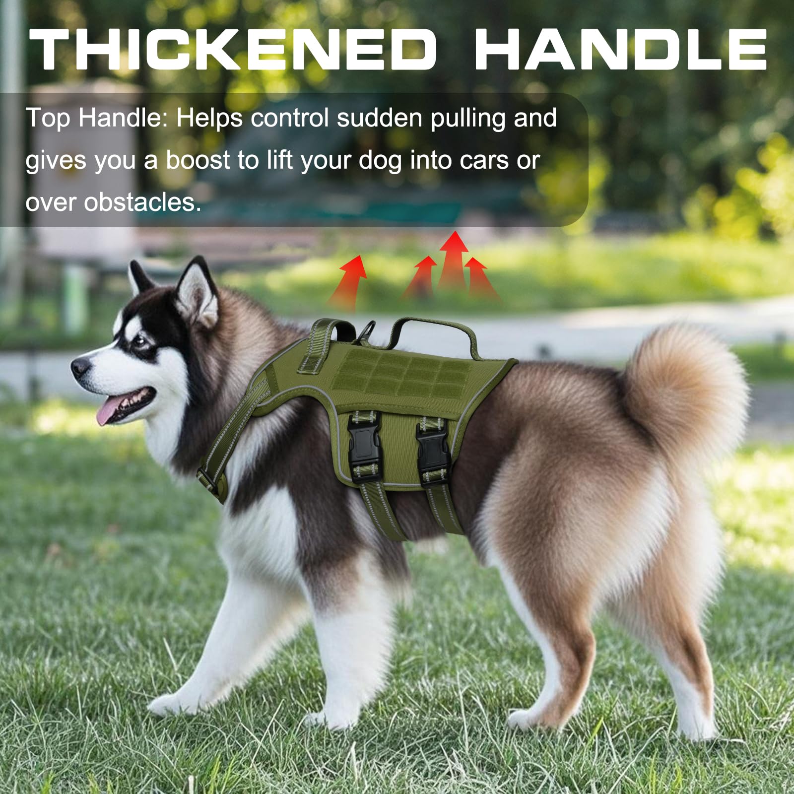 RunFido harnais grand chien – boucles rapides faciles à mettre pour un enfilage rapide.