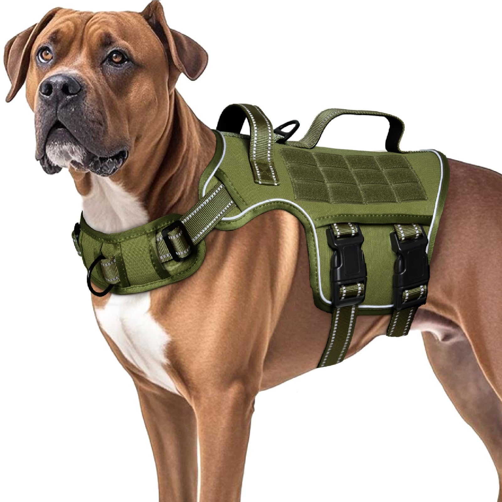 RunFido harnais grand chien – guide des tailles pour un ajustement idéal et rapide.