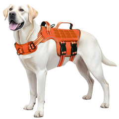 RunFido harnais grand chien avec boucles rapides pour enfiler rapidement et séance de promenade