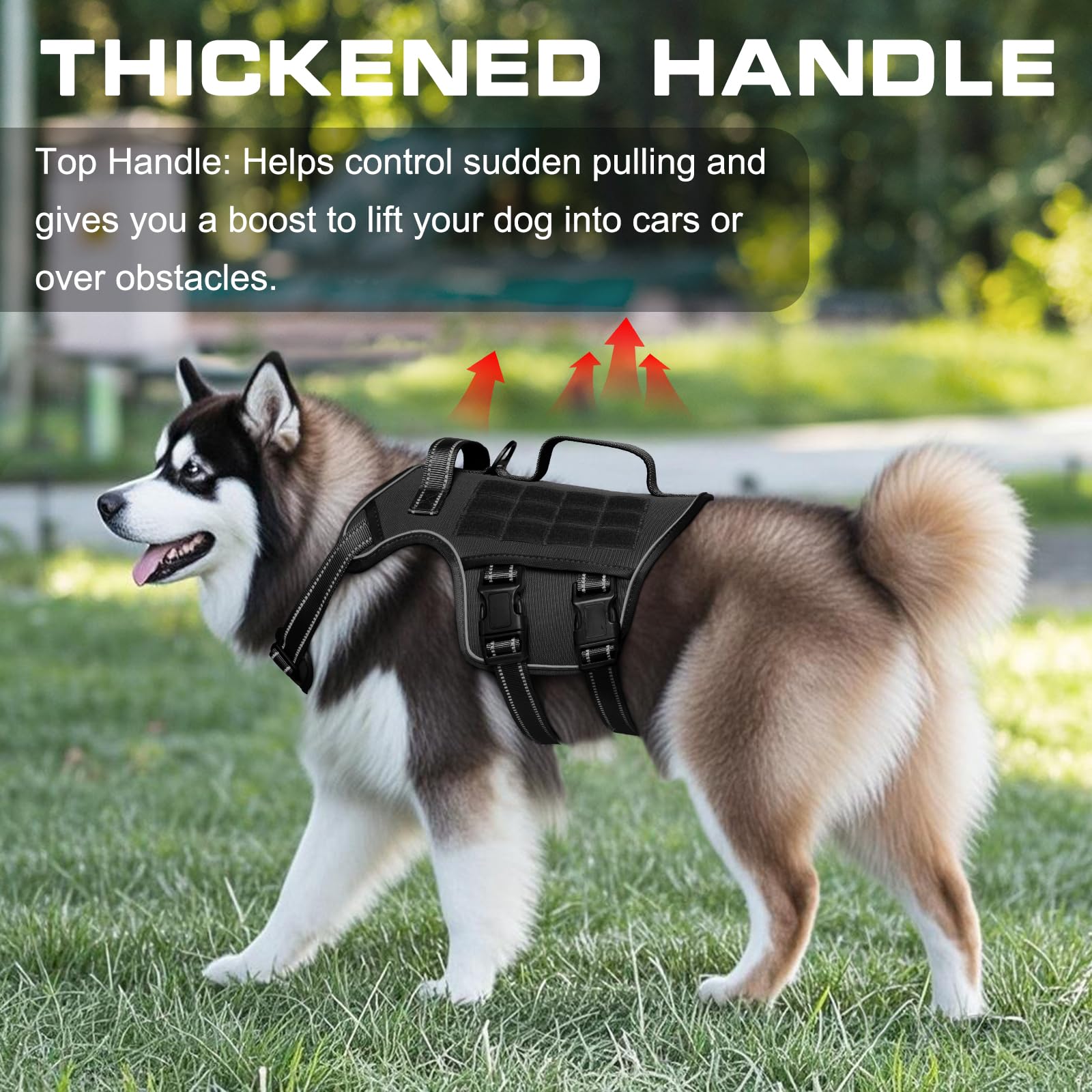 RunFido harnais chien grande taille — fermetures rapides pour habillage facile