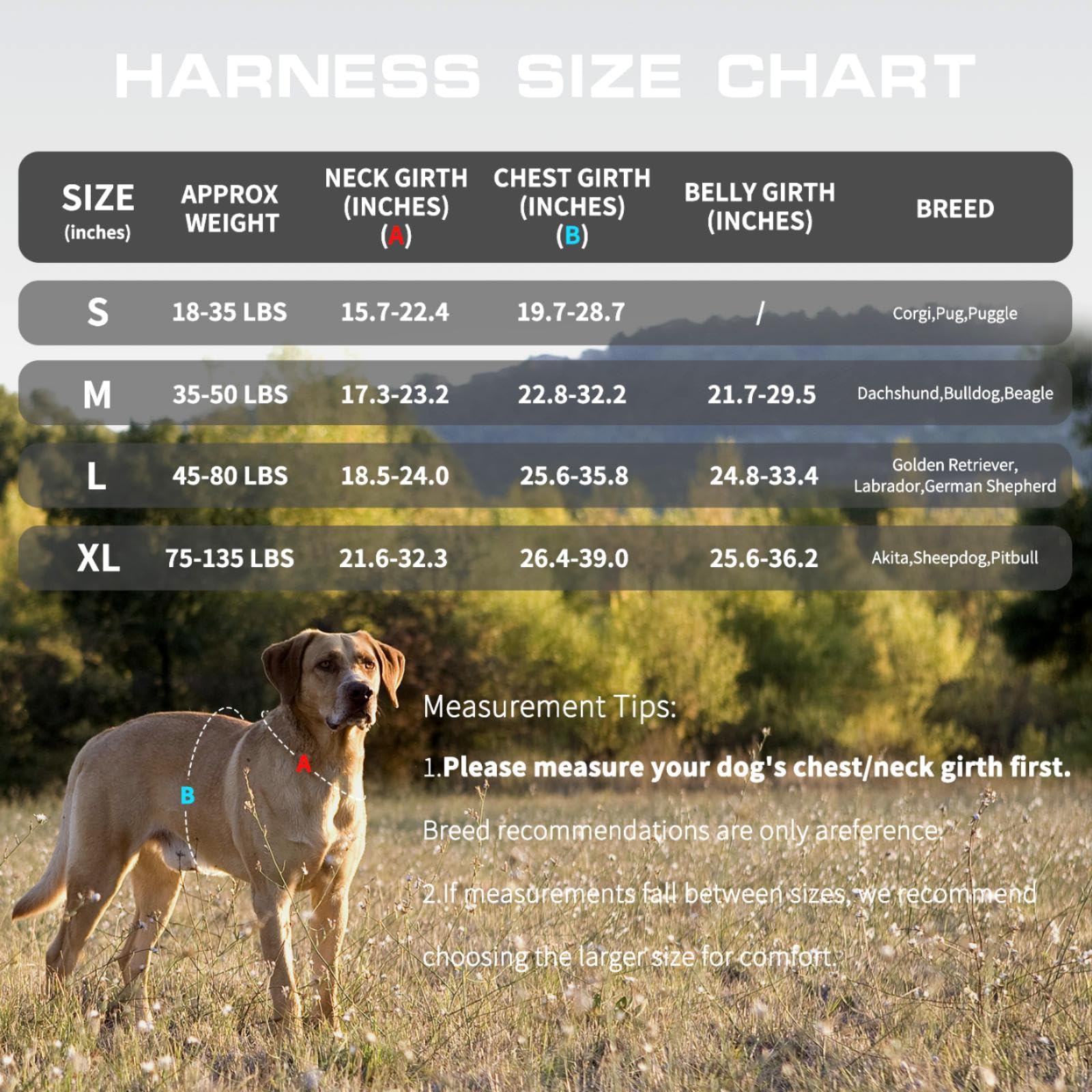 RunFido harnais chien grande taille — poignée nylon pour prise et controle