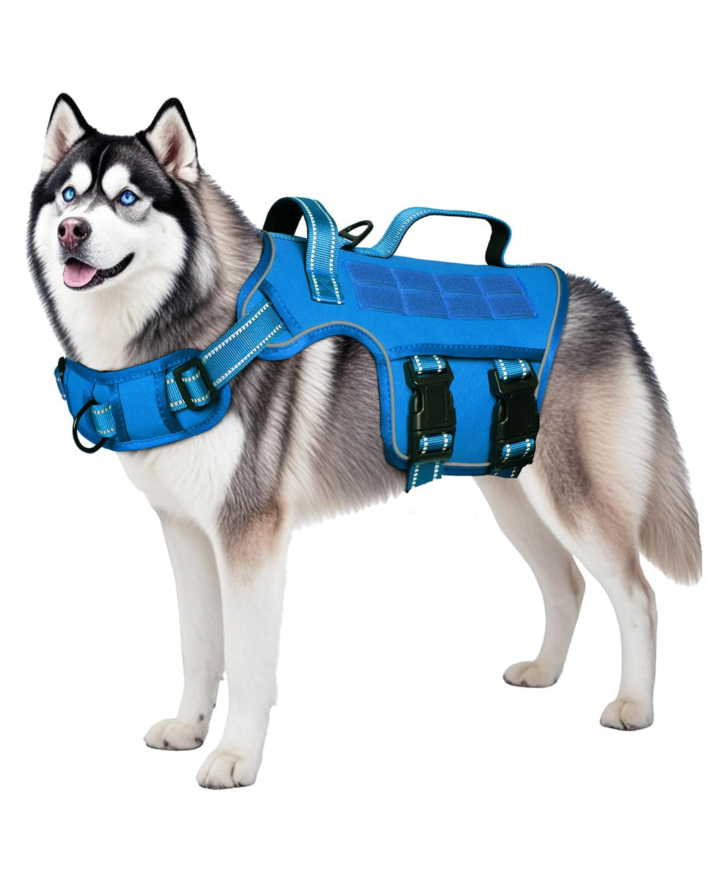 RunFido harnais grande taille, port sûr et confort sur l’ensemble de l’activité
