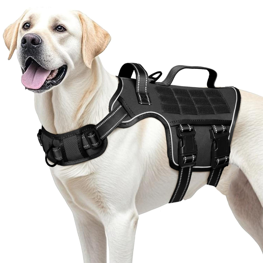 RunFido harnais chien grande taille — vue generale, confort et securite en promenade