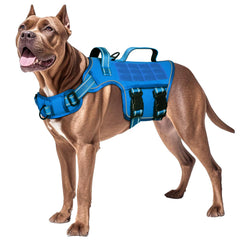 Harnais RunFido pour chien grande taille, sécurité et confort lors des promenades
