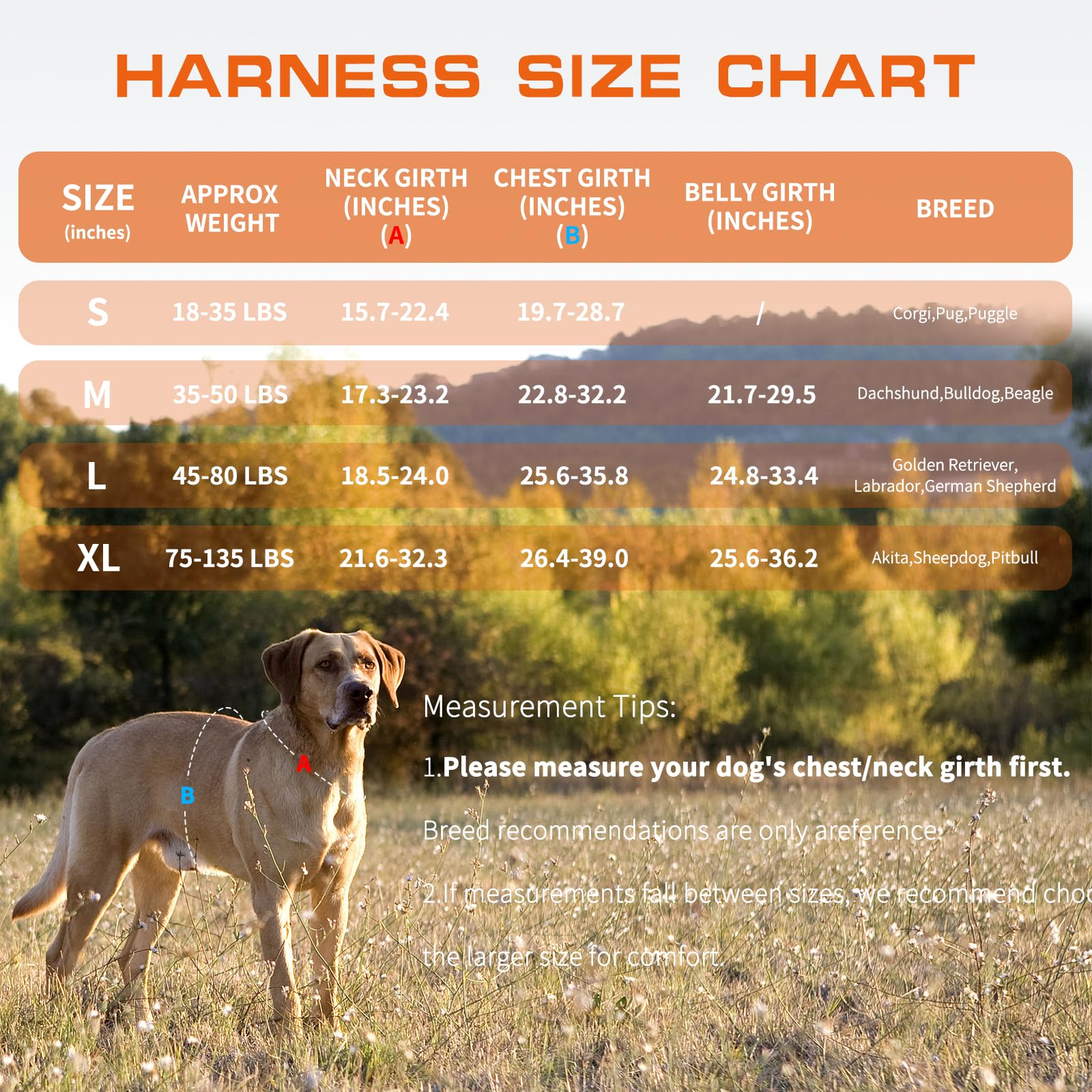RunFido harnais guide des tailles pour un ajustement précis