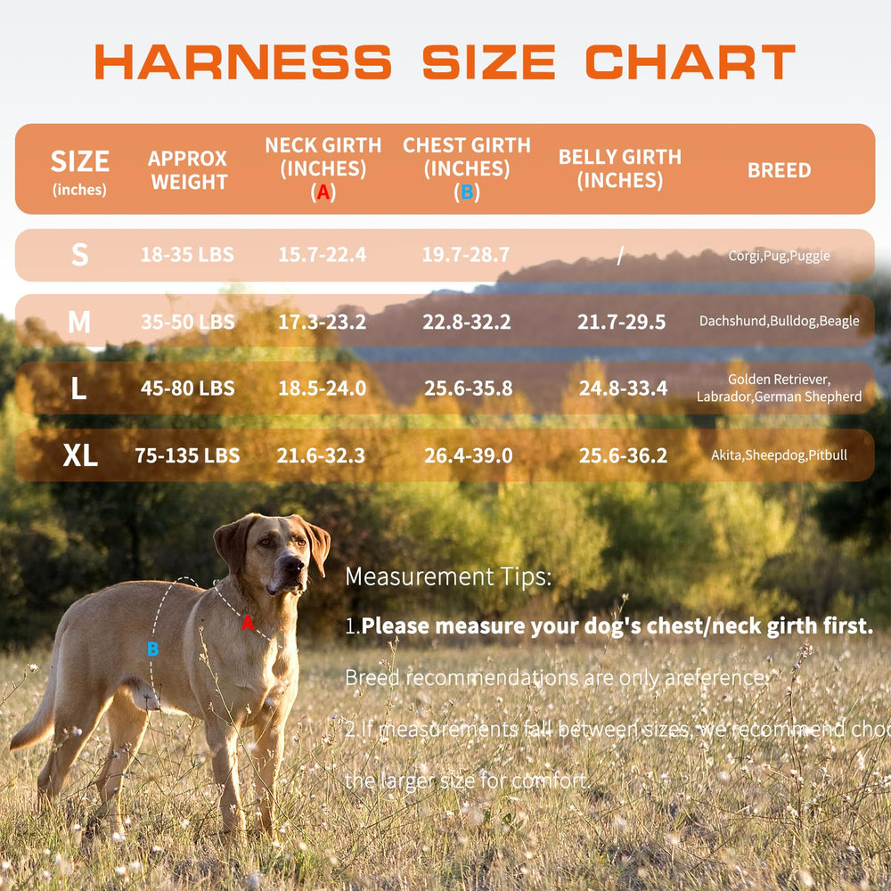 RunFido harnais guide des tailles pour un ajustement précis