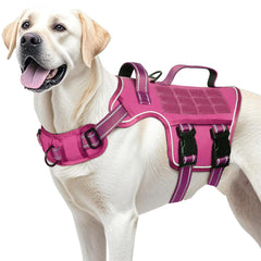 Harnais RunFido pour chien lourd avec boucles rapides, enfiler facilement.