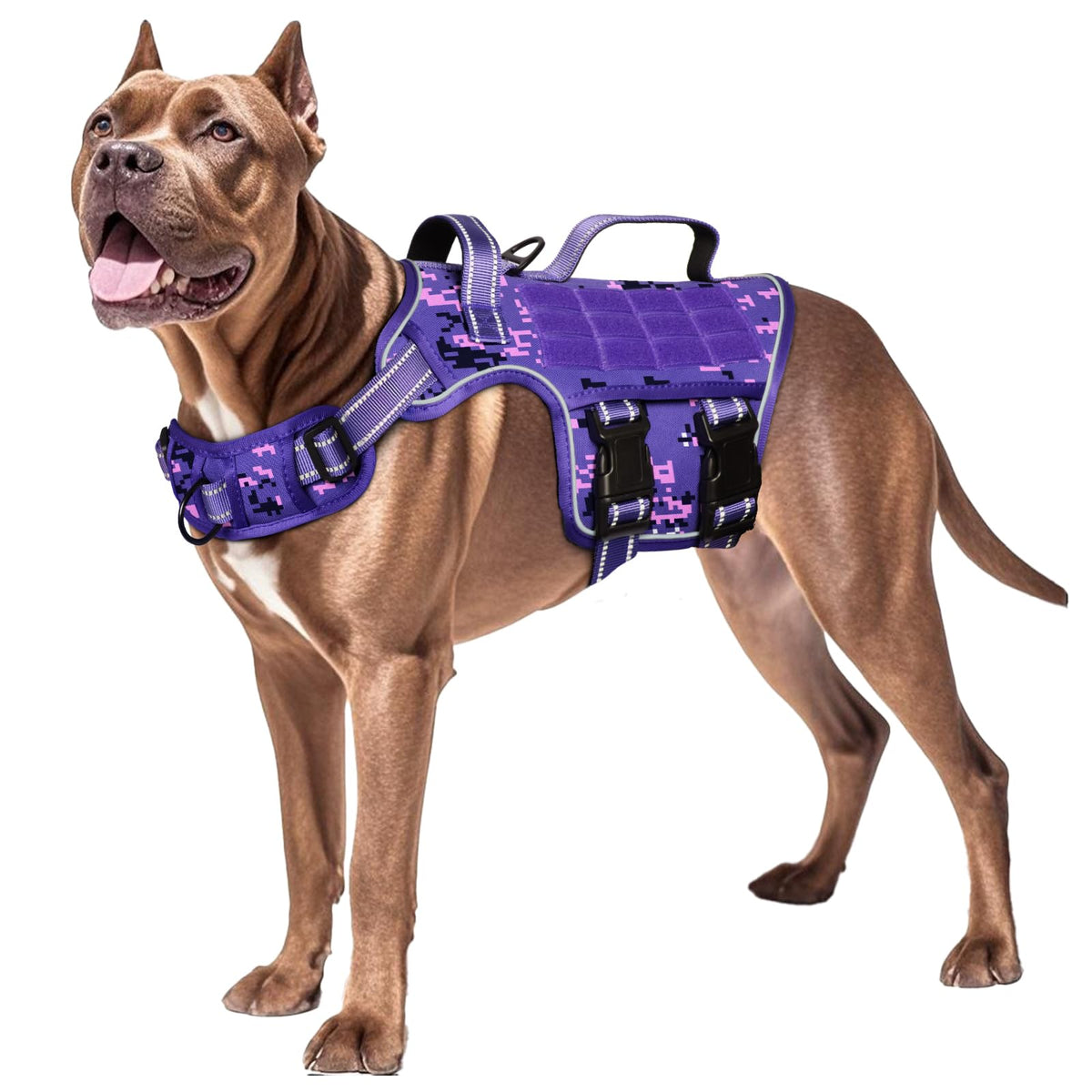 Harnais RunFido pour chien lourd au design tactique et robuste.