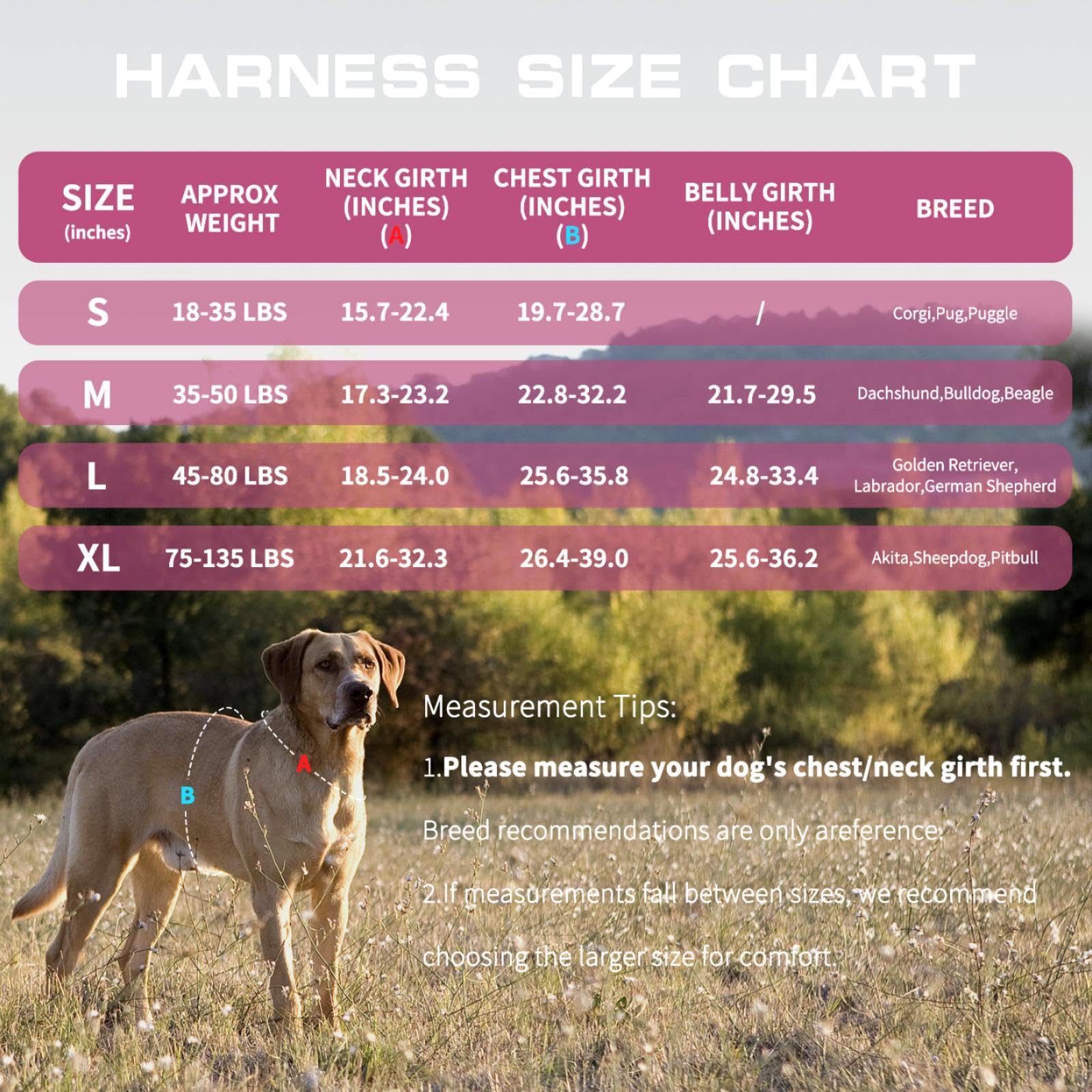 RunFido harnais avec poignées latérales — prise assurée lors des passages techniques