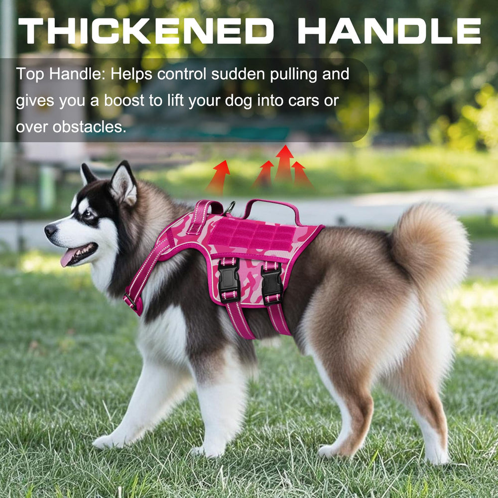 RunFido harnais chien système molle : porte-accessoires pratique lors des entraînements.