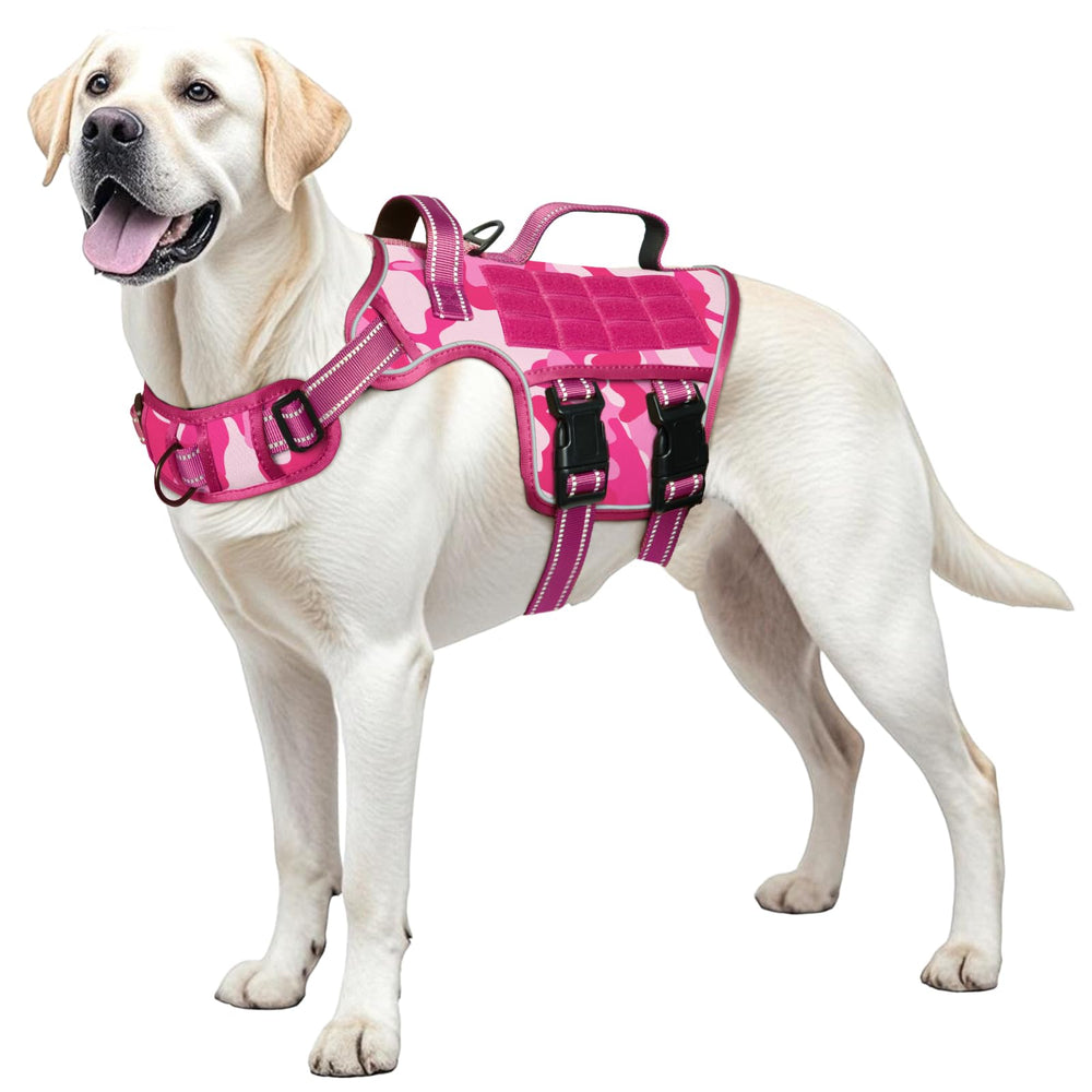 RunFido harnais chien tactique anti-pull : contrôle renforcé pendant les sorties.