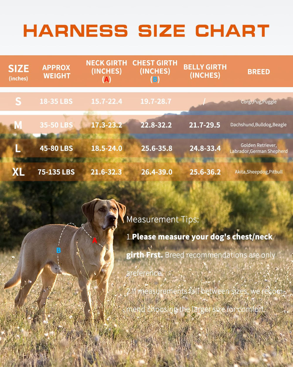 RunFido harnais chien tailles M pour chien moyen avec guide