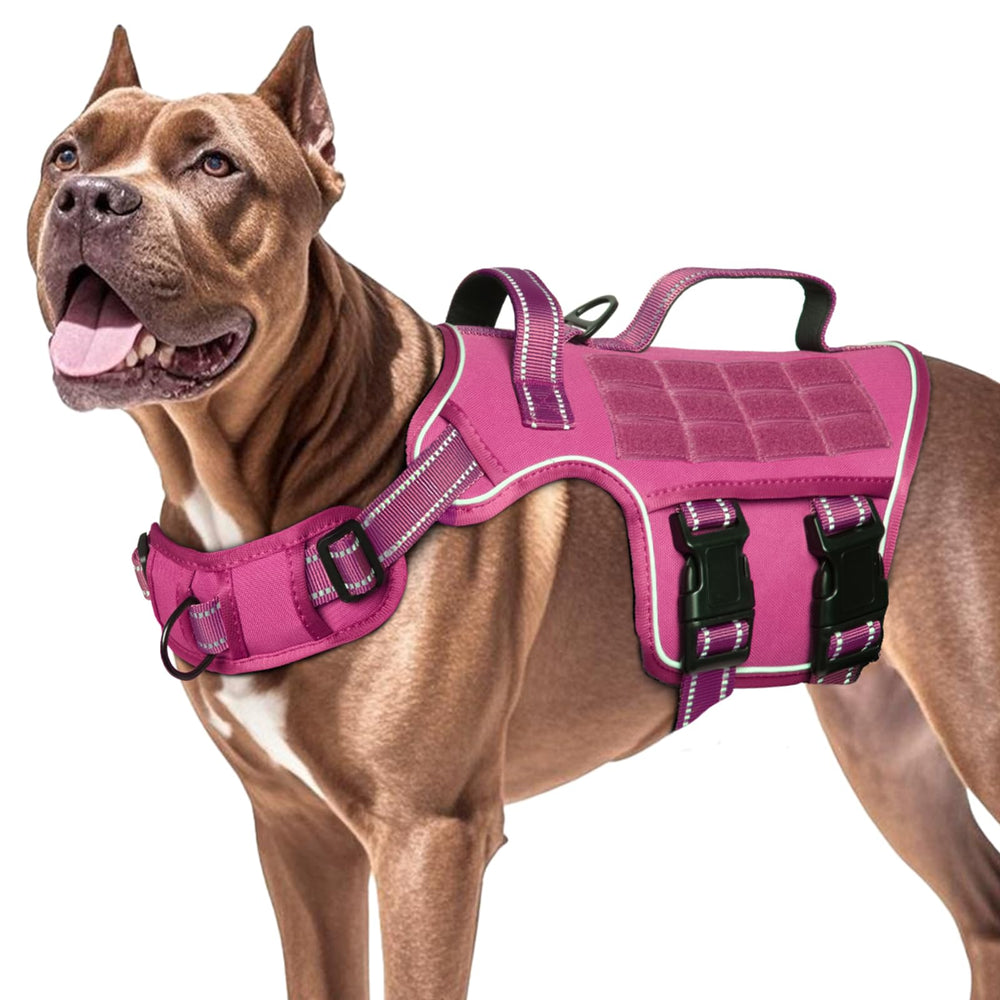 RunFido harnais taille ajustable — adapté aux grands chiens et à la croissance