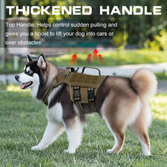 RunFido harnais durable et matériaux robustes, résistant aux tirages.
