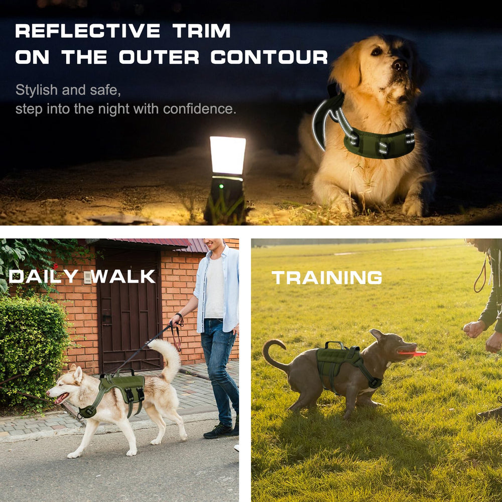 Harnais RunFido réfléchissant-nuit, meilleure visibilité lors des sorties nocturnes.