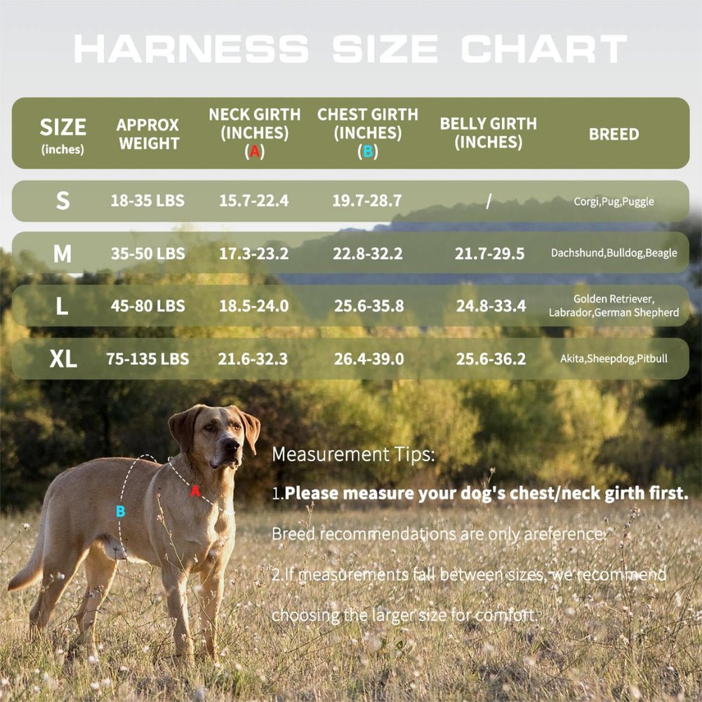 Harnais RunFido rembourrage-maille, confort doux sur longue balade.
