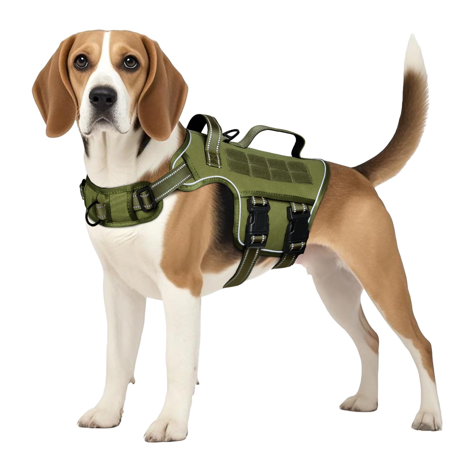Harnais RunFido vu de face, contrôle confortable lors des promenades.