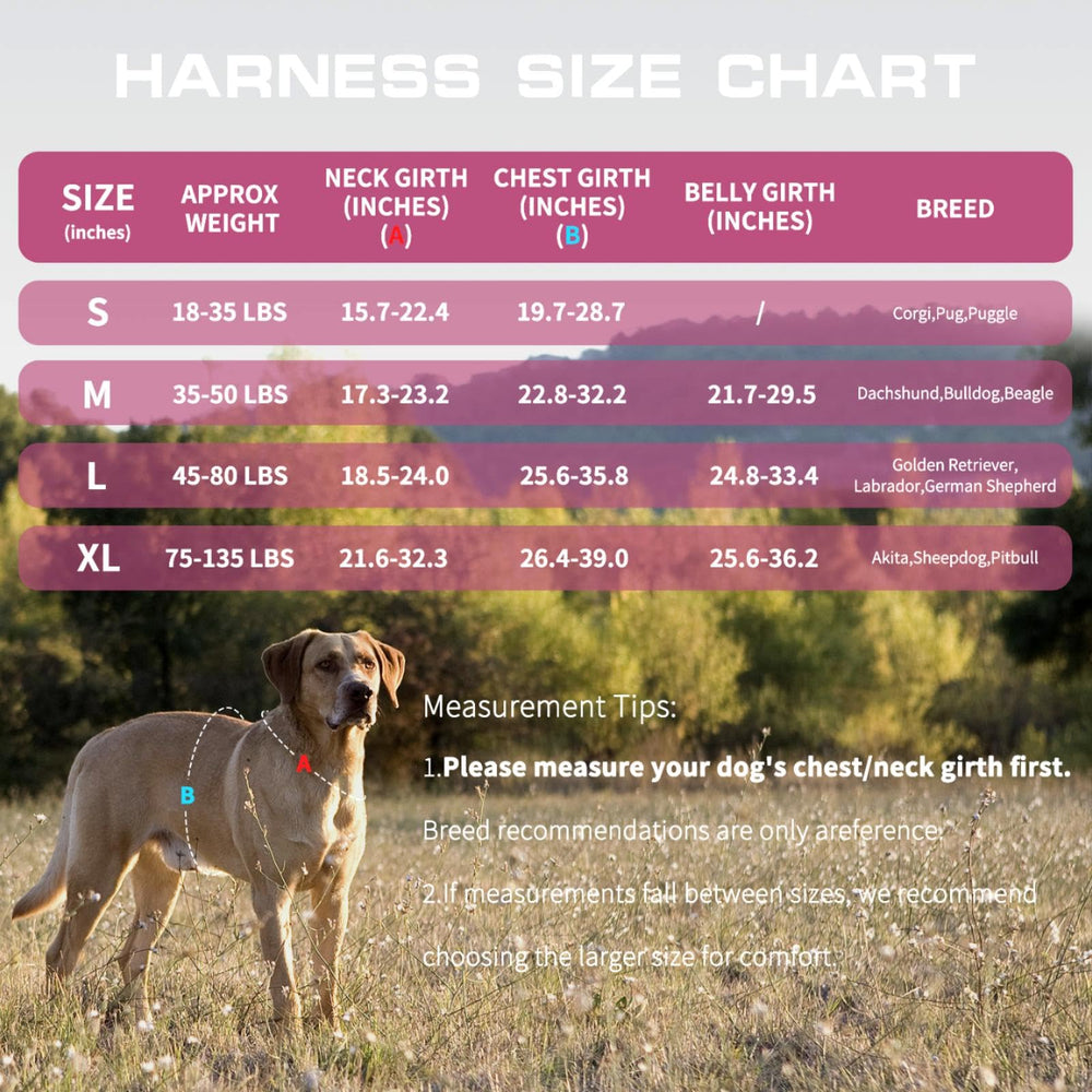 RunFido harnais tactique pour chien moyen — bande réfléchissante pour la sécurité nocturne