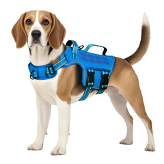 Harnais RunFido avec boucle rapide pour enfiler facilement le harnais