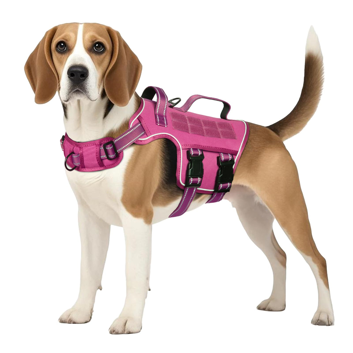 RunFido harnais tactique pour chien moyen — face avant, entrée rapide et ajustement confortable