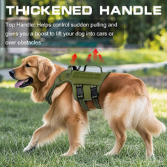 RunFido avec poignées, prise sûre pour entraînement et exercices.