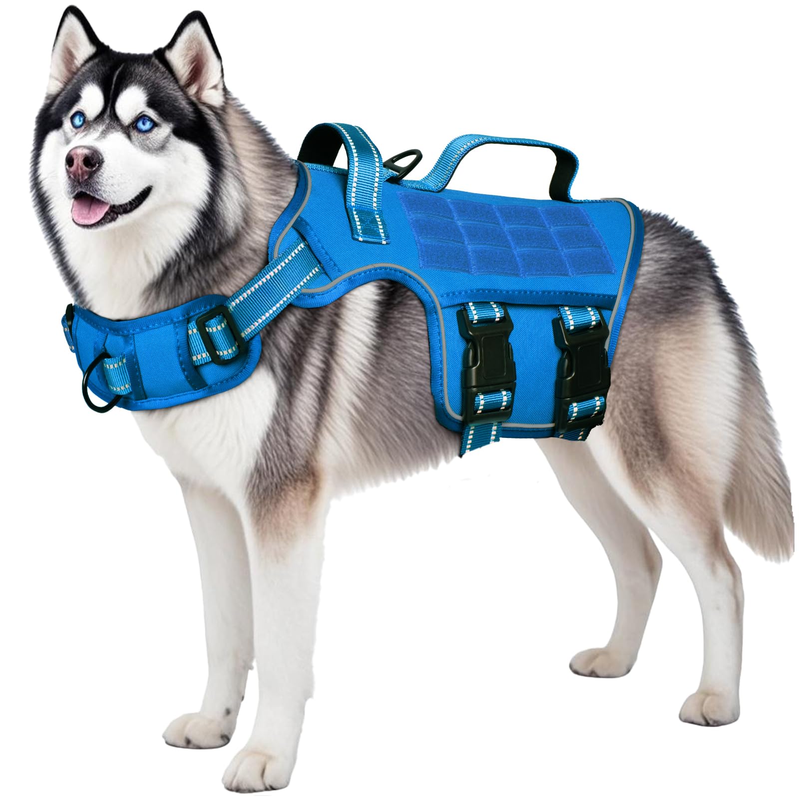 Harnais tactique RunFido alliant style et confort pour chiens actifs