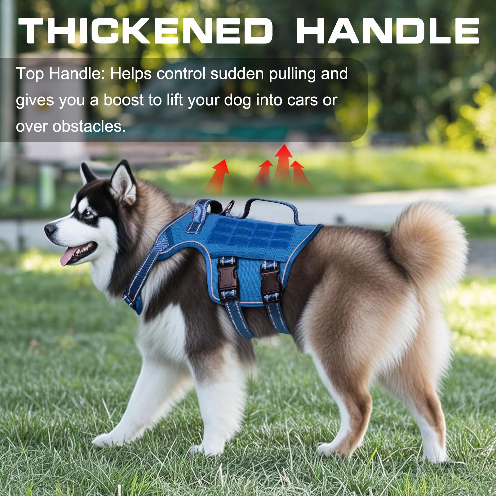 Système Molle RunFido intégré pour accessoires lors d’activités en plein air