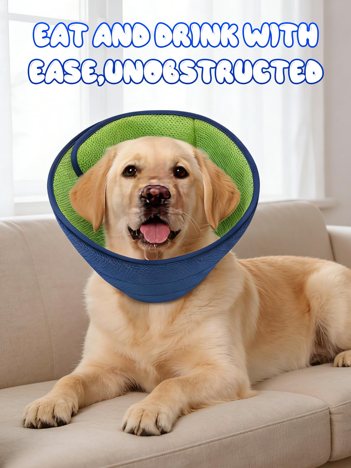 Runlight collier-cone chien post opératoire, ajustable et sûr