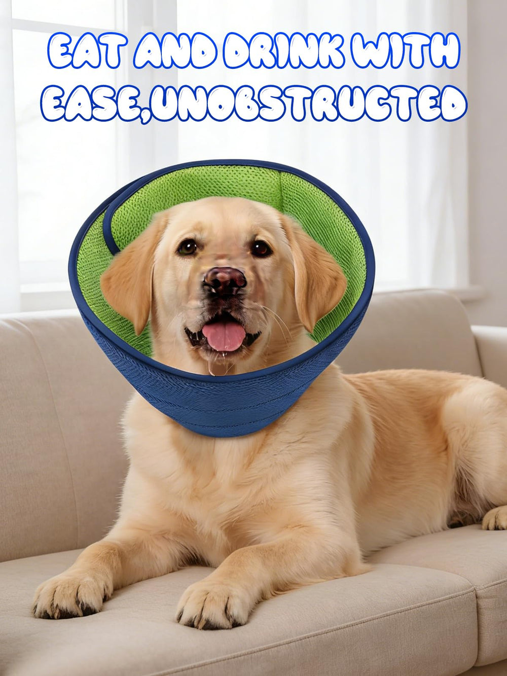 Runlight collier-cone chien post opératoire, ajustable et sûr