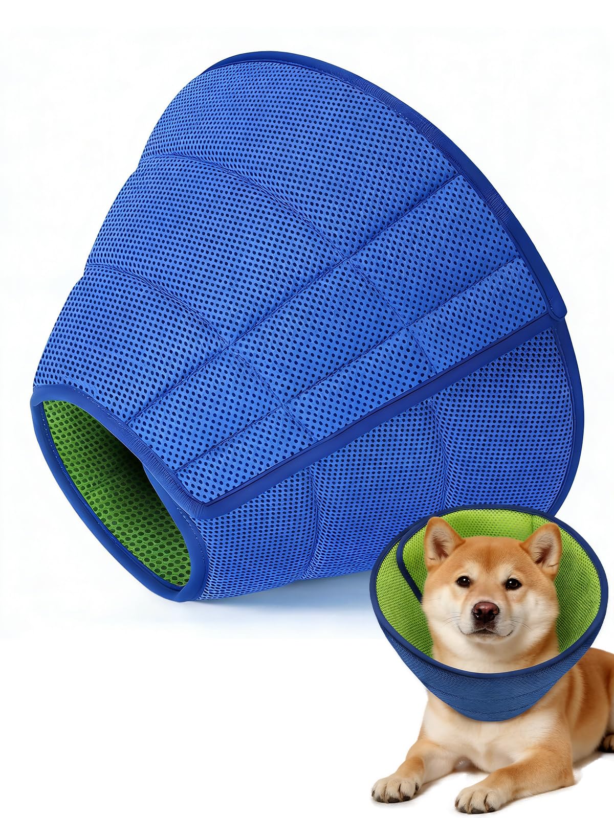 Runlight collier-cone pour chien confort moyen vert bleu, favorise le repos après chirurgie