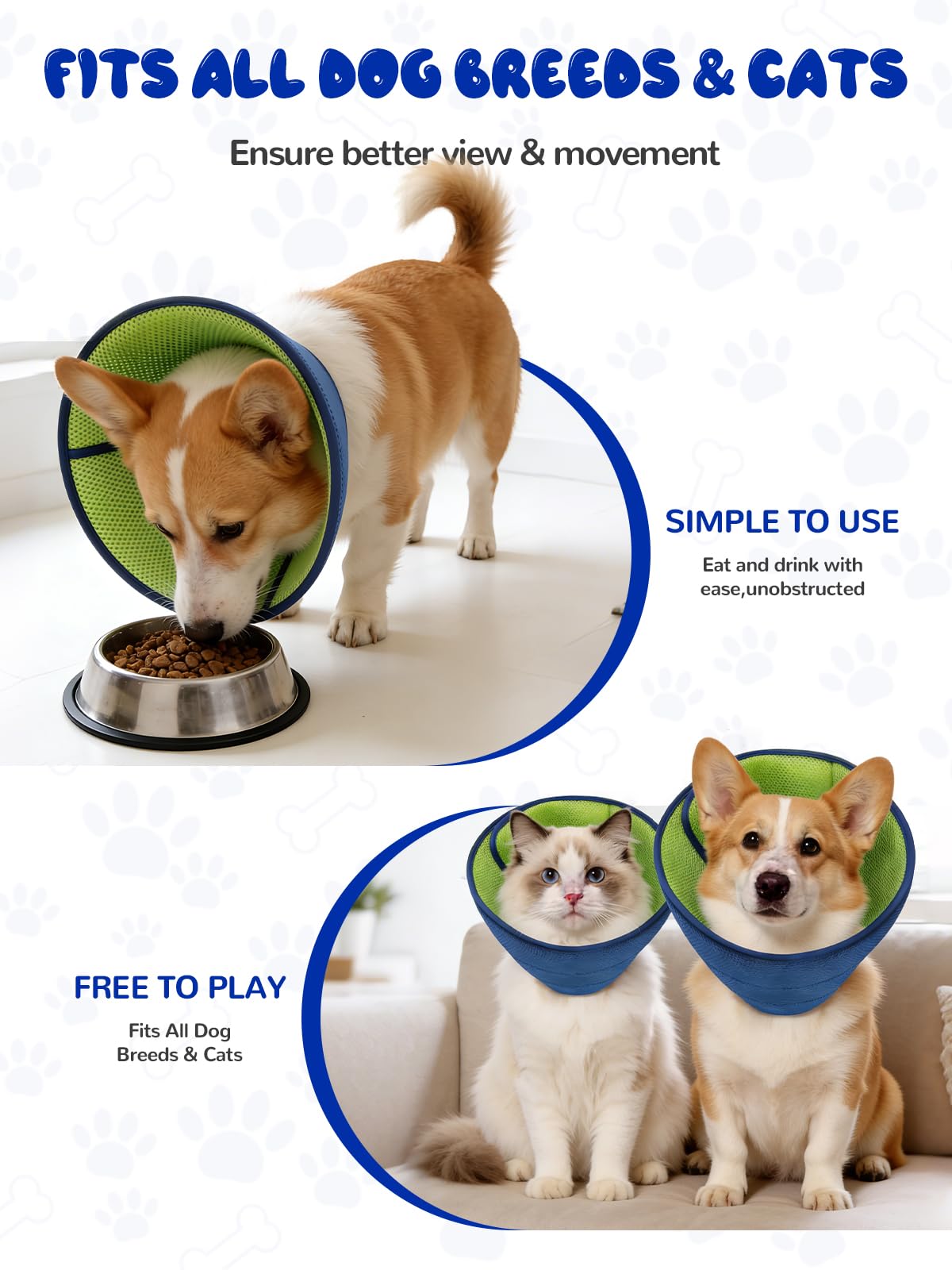 Runlight collier-cone chien nettoyage réversible, rapide et pratique
