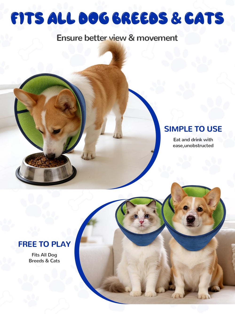 Runlight collier-cone chien nettoyage réversible, rapide et pratique