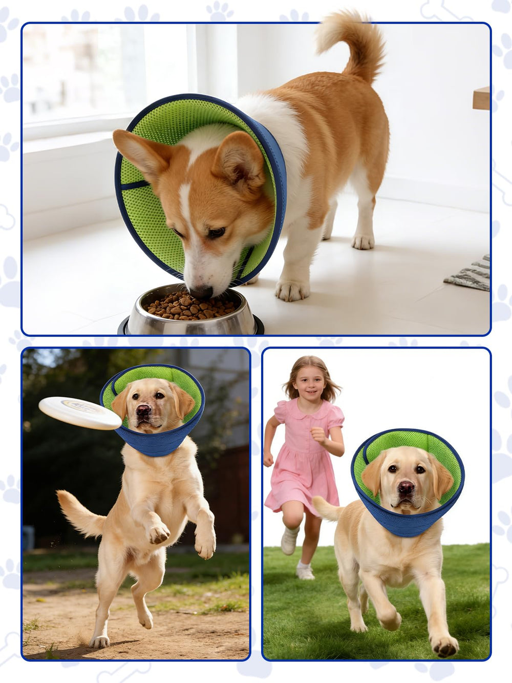 Runlight collier-cone chien usage quotidien, idéal pour soins et récupération