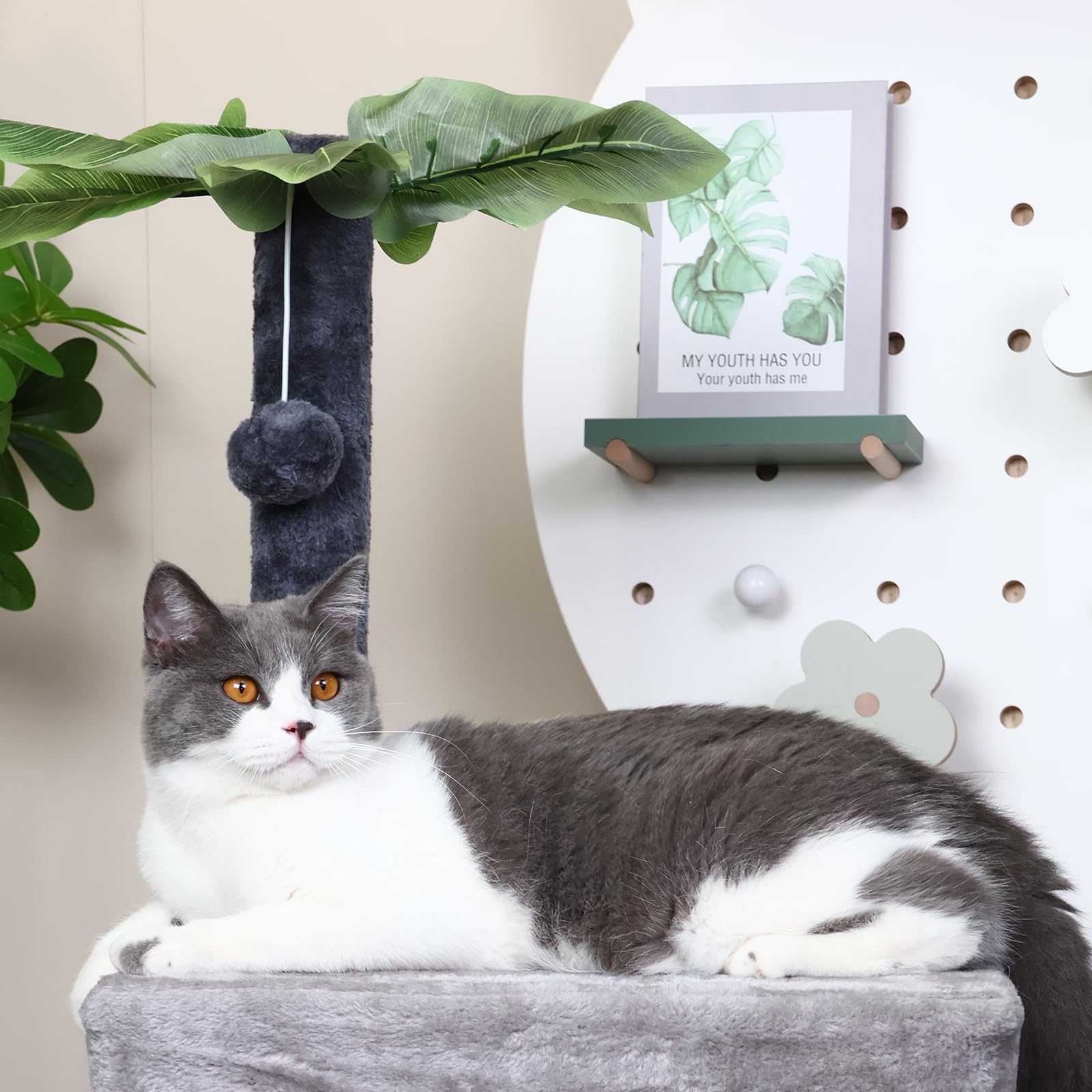 Runske Arbre Chat 41 pouces - nid-confort propice au repos et à la détente.