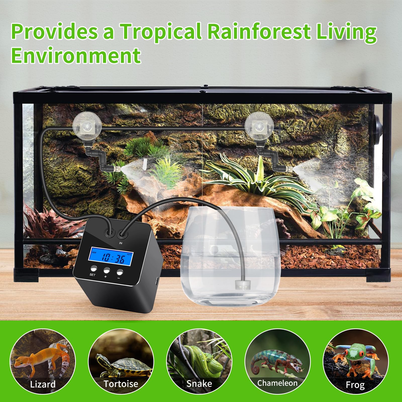 RUNWUSHENG utilisation terrarium humide pour reptiles et plantes tropicales