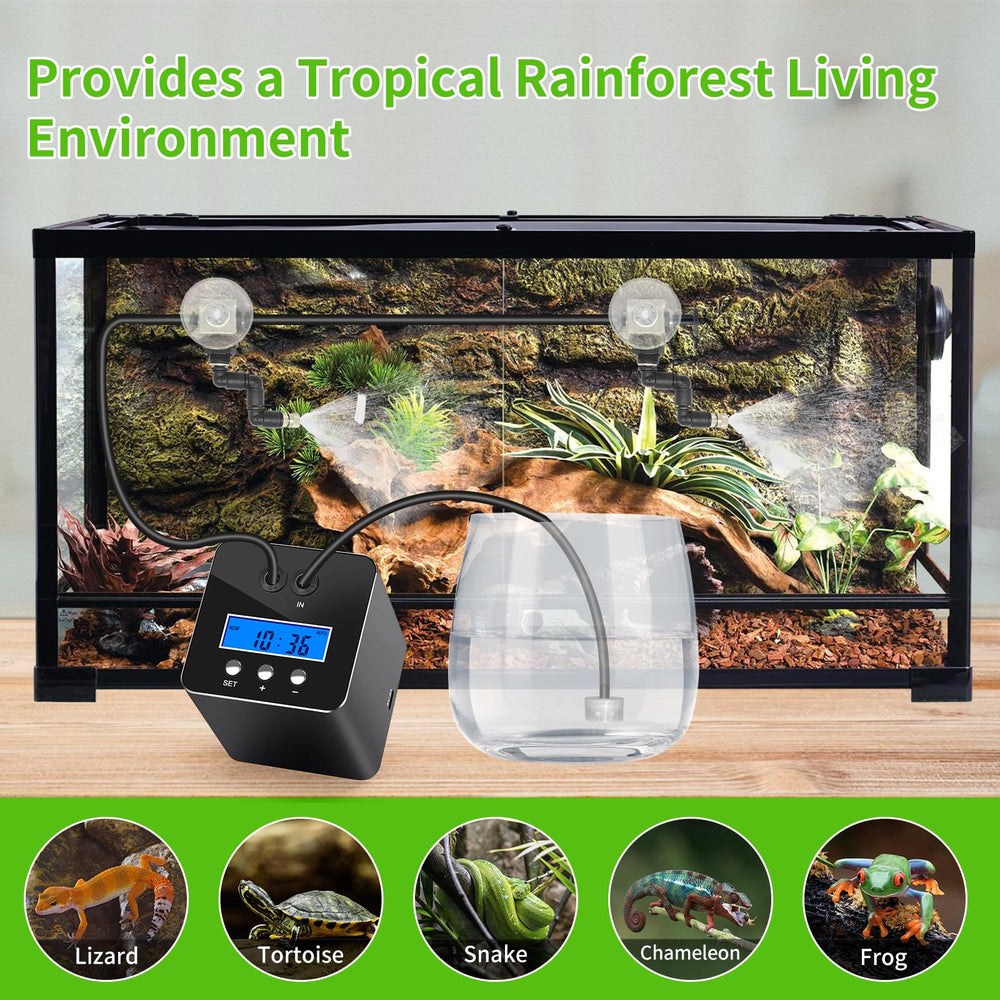 RUNWUSHENG utilisation terrarium humide pour reptiles et plantes tropicales