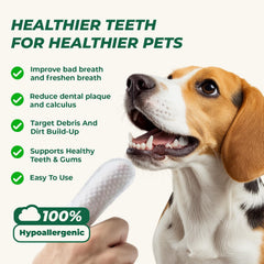 RunyePet lingettes dentaires, texture rugueuse pour éliminer les dépôts
