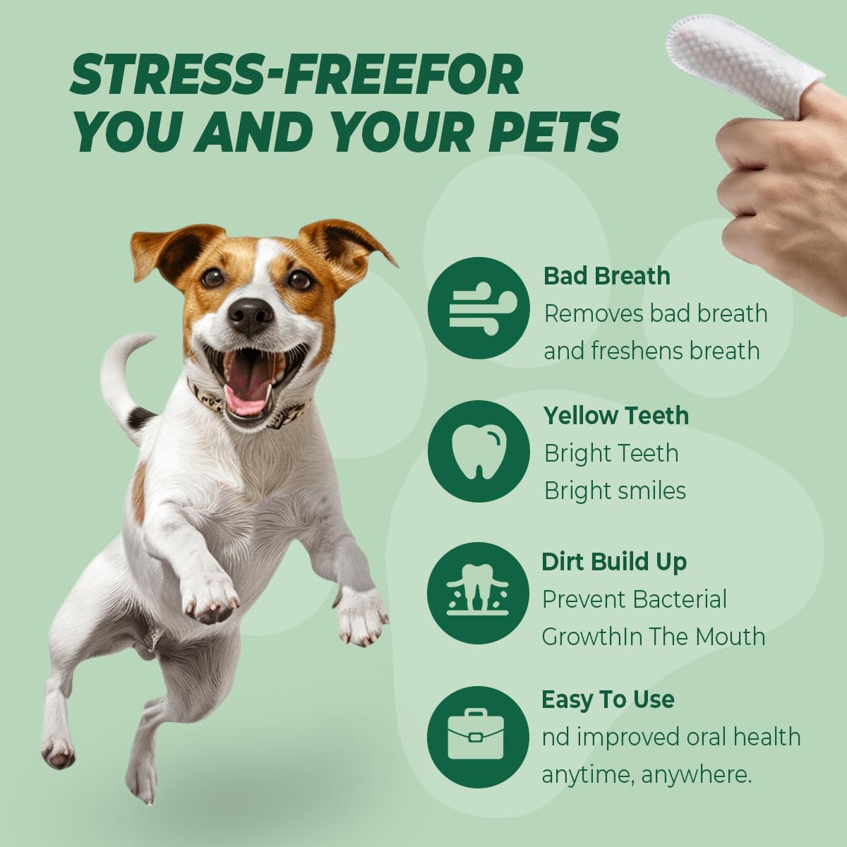 RunyePet formule sans alcool : douceur et sécurité pour gencives sensibles.