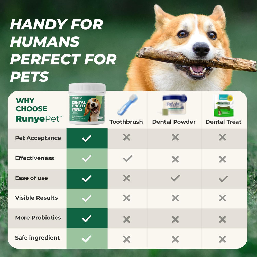 RunyePet kit dentaire complet : ensemble pratique avec lingettes et poudre.