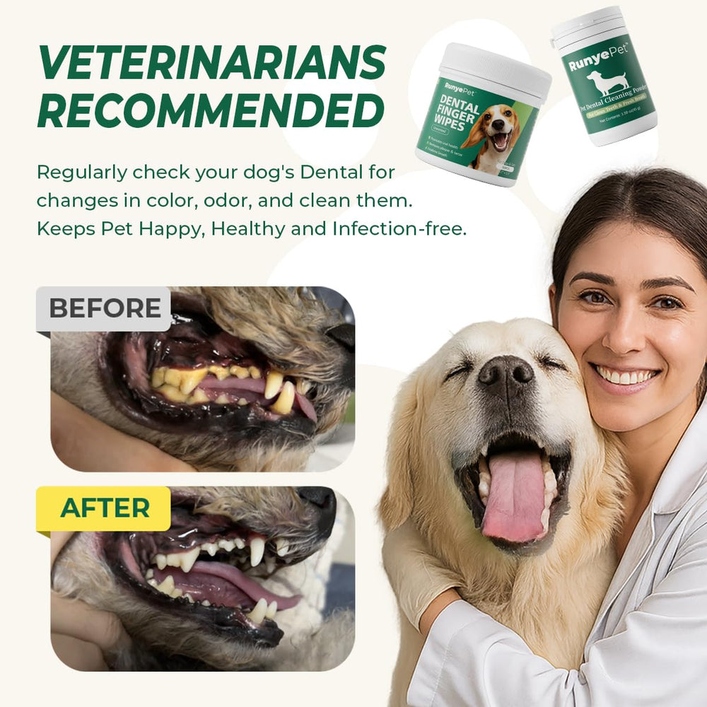 RunyePet lingettes dentaires usage rapide : nettoyage ciblé sans rinçage pour chiens et chats.